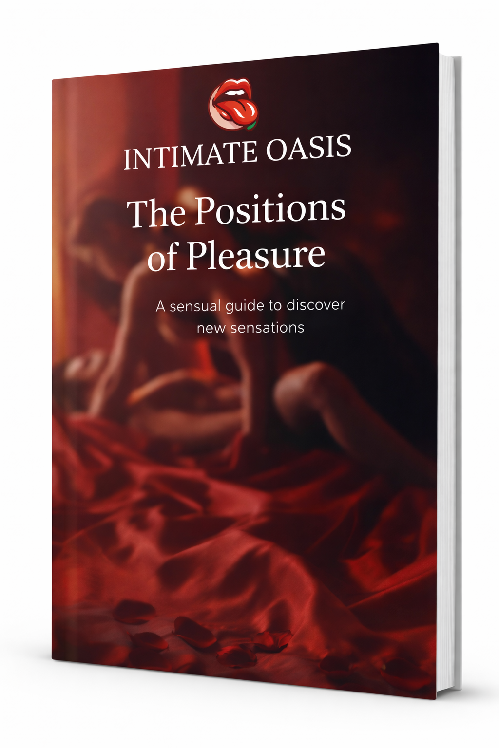 Ebook - The Positions of Pleasure